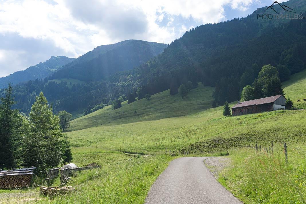 Large chemin sur le chemin vers le Hochgrat