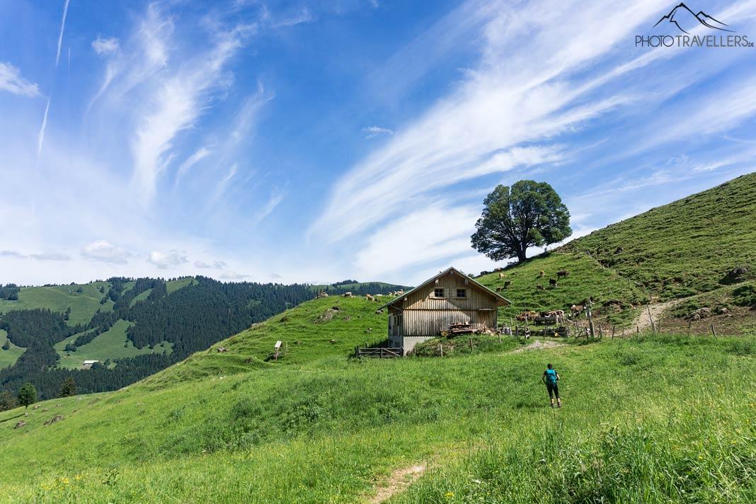 Biggi devant l'Alpe Gratvorsäß