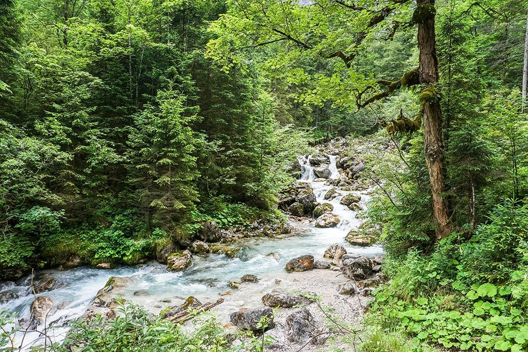 La randonnée suit le Hammersbach