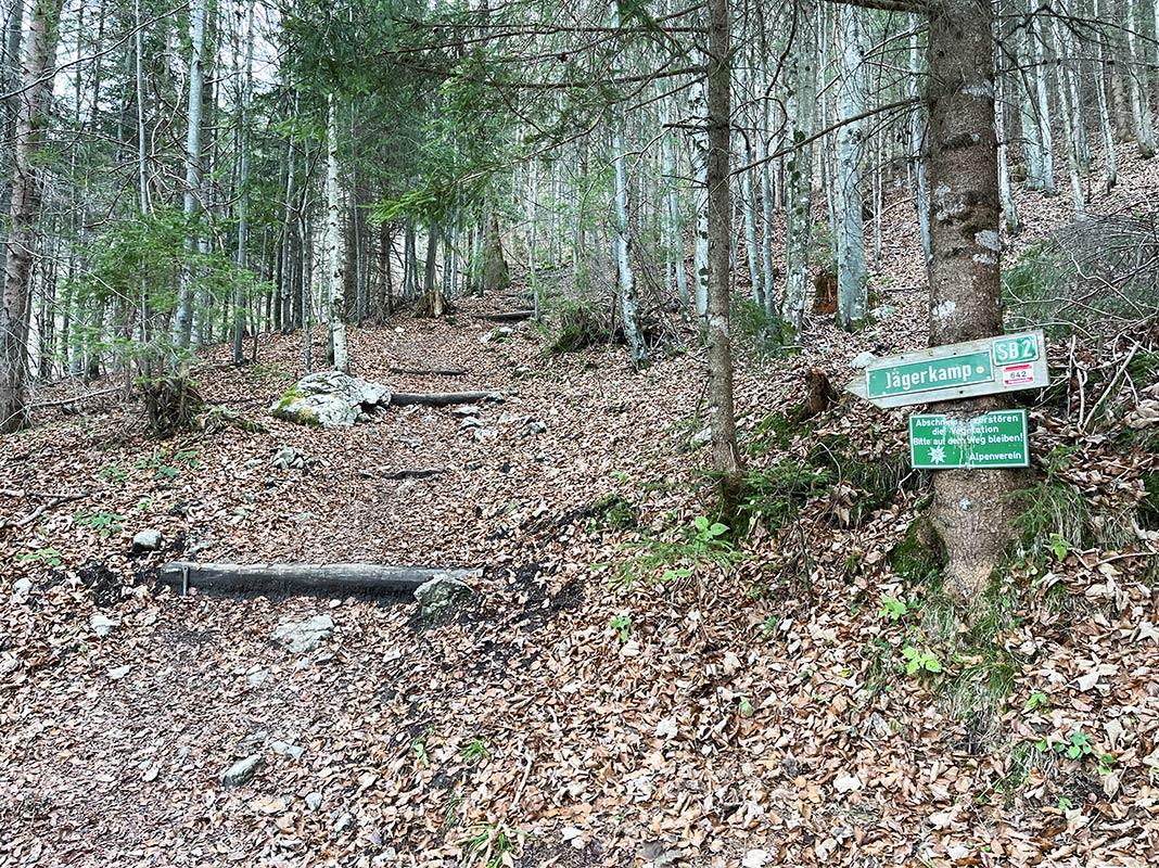 Large chemin de randonnée dans la forêt