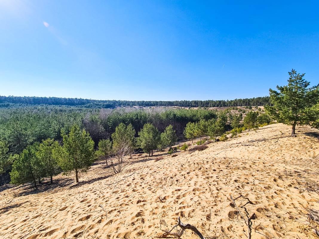 Vue sur les dunes franconiennes en Franconie