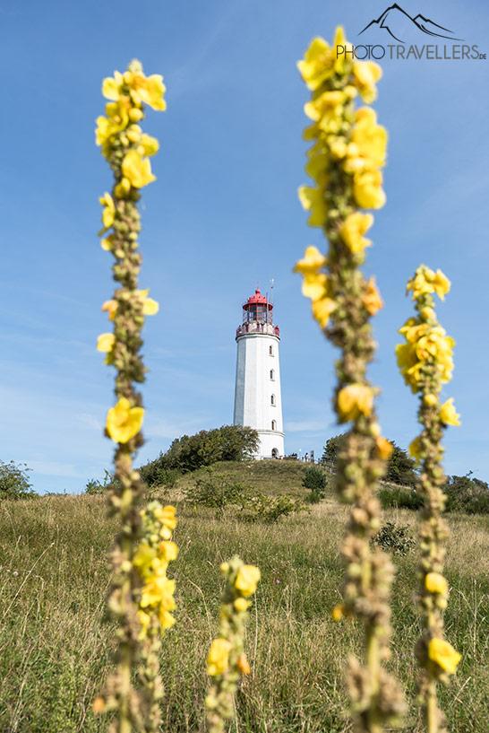 Vue sur le phare Dornbusch à Hiddensee