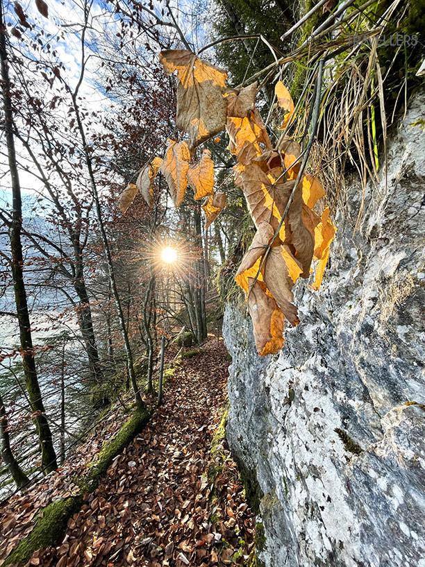 Le sentier des falaises en automne