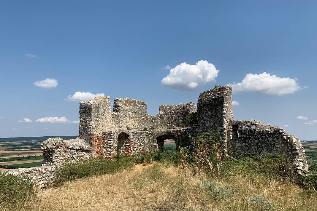 La ruine du château de Staatz