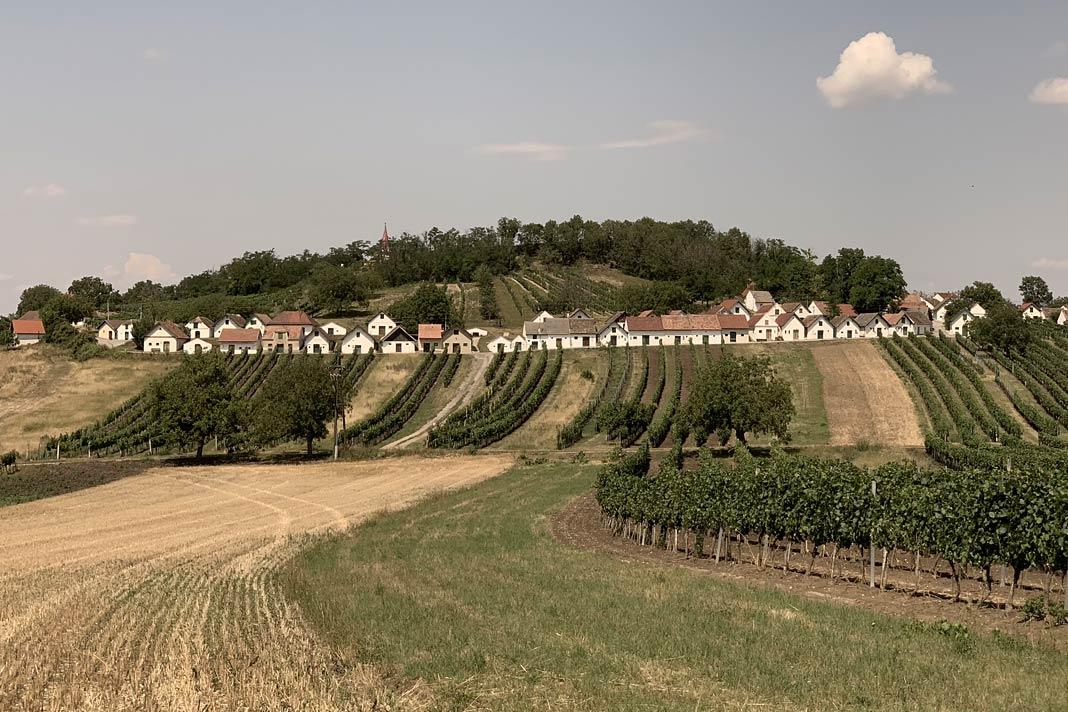 Vue sur la ruelle de vignerons Galgenberg à Wildendürnbach