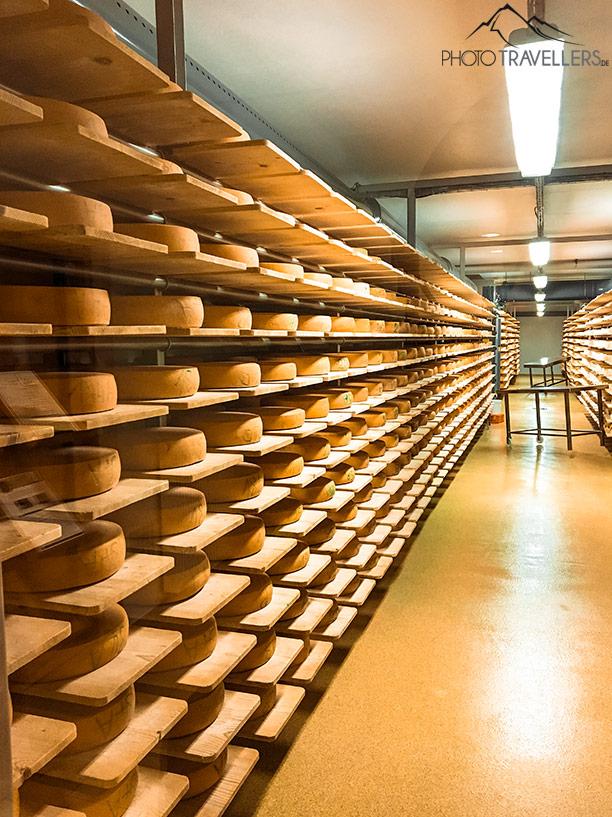 La laiterie naturelle Tegernseerland est une fromagerie pédagogique.