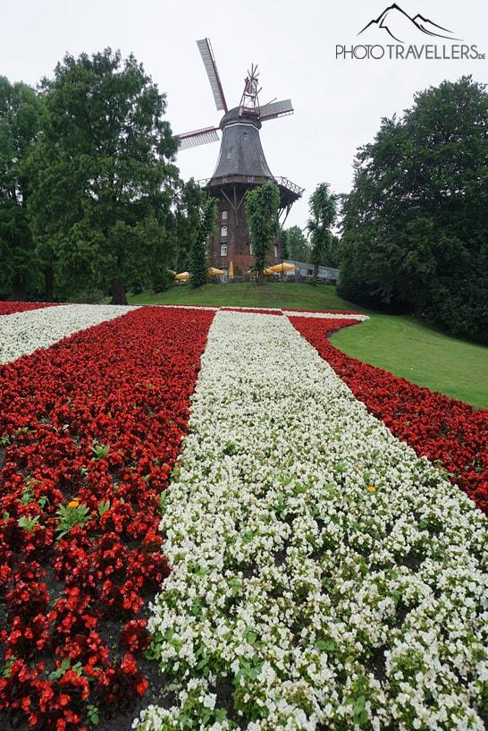 Fleurs rouges et blanches au premier plan, derrière le moulin dans les Remparts à Brême