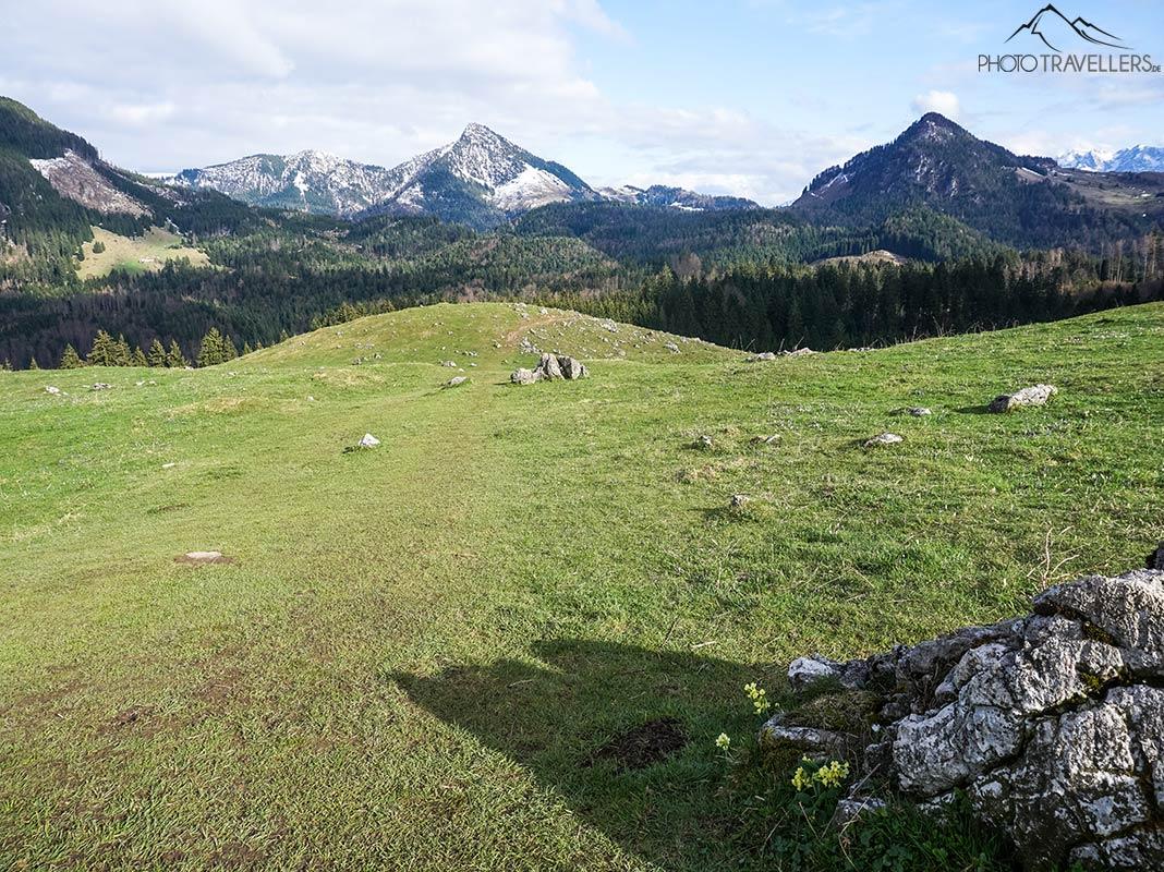 La belle vue sur les alpages de Daffnerwald