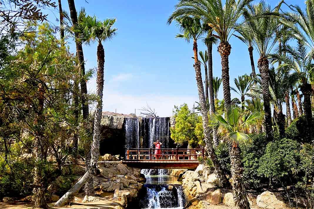 Dans le parc El Palmeral, de nombreuses cascades et des palmiers se trouvent