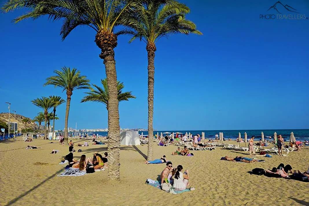 Des gens se reposent sur la plage El Postiguet sous les palmiers