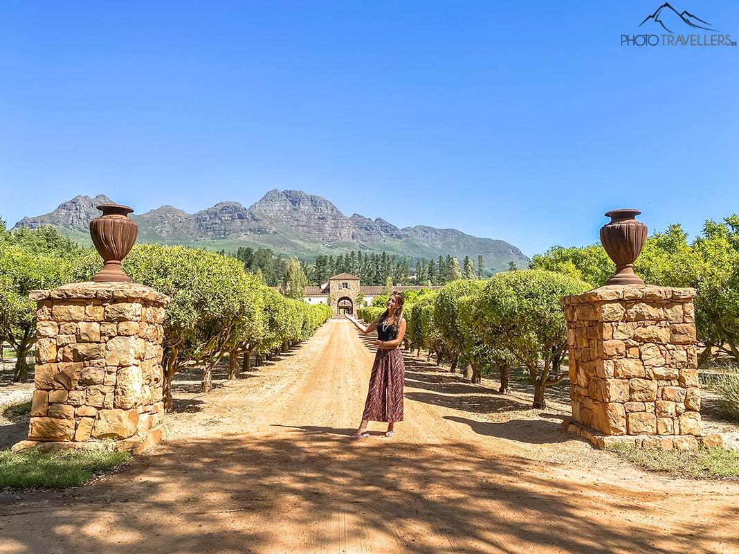 L'un des plus beaux domaines viticoles au monde, le Waterford Wine Estate à Stellenbosch