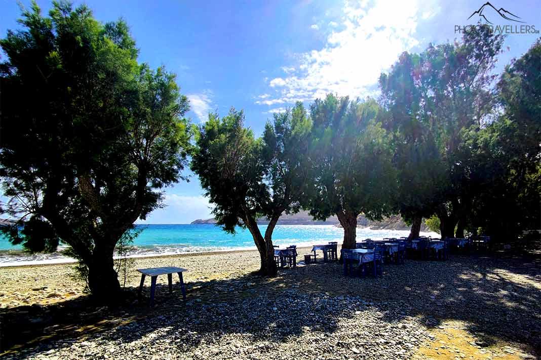 Des tables et des chaises se trouvent à l'ombre des arbres sur la plage de Ganema à Serifos