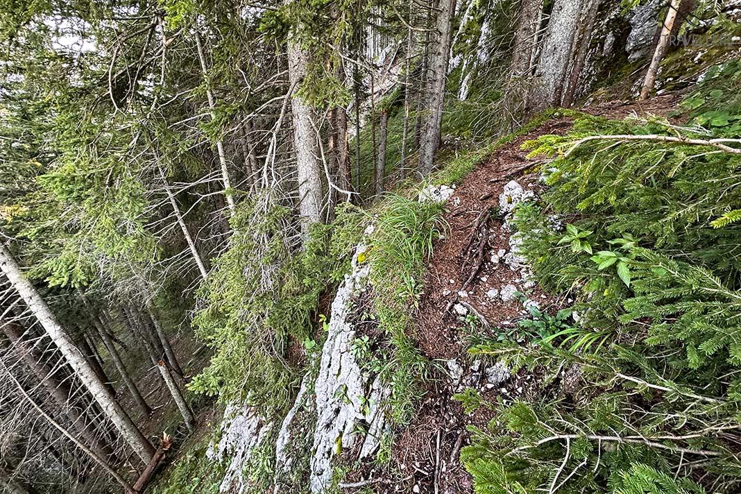 Uma trilha estreita na floresta junto a um precipício