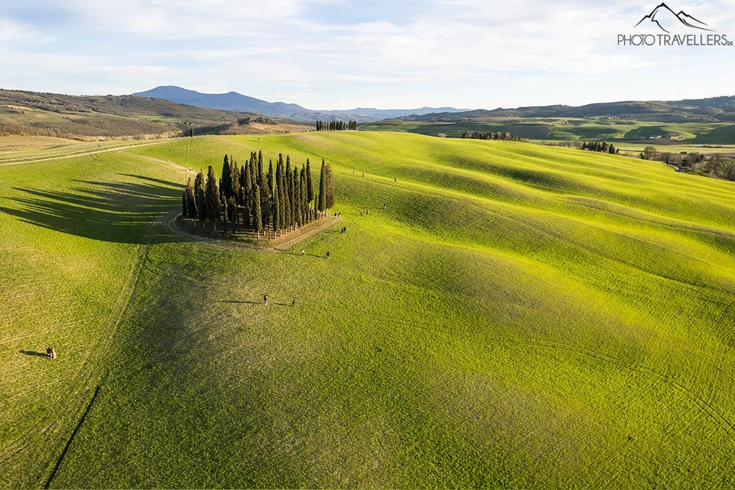 Les cyprès de San Quirico d'Orcia de l'air