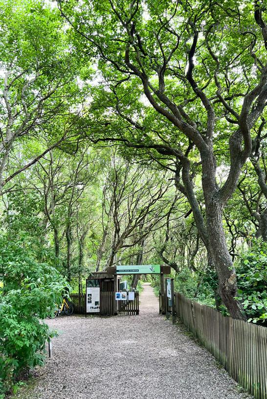 Le sentier naturel Vogelkoje Kampen à Sylt