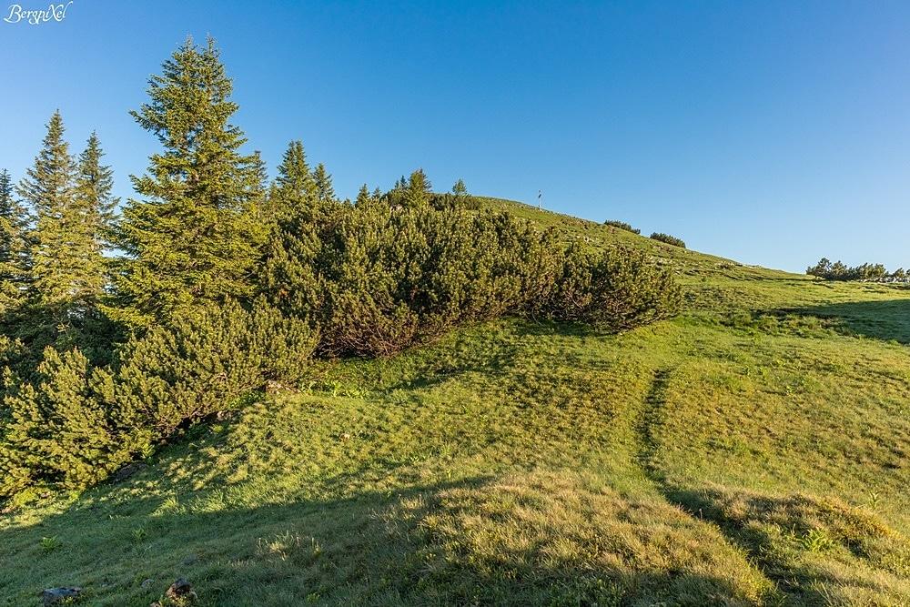 Vue sur la croix du sommet du Hirschberg