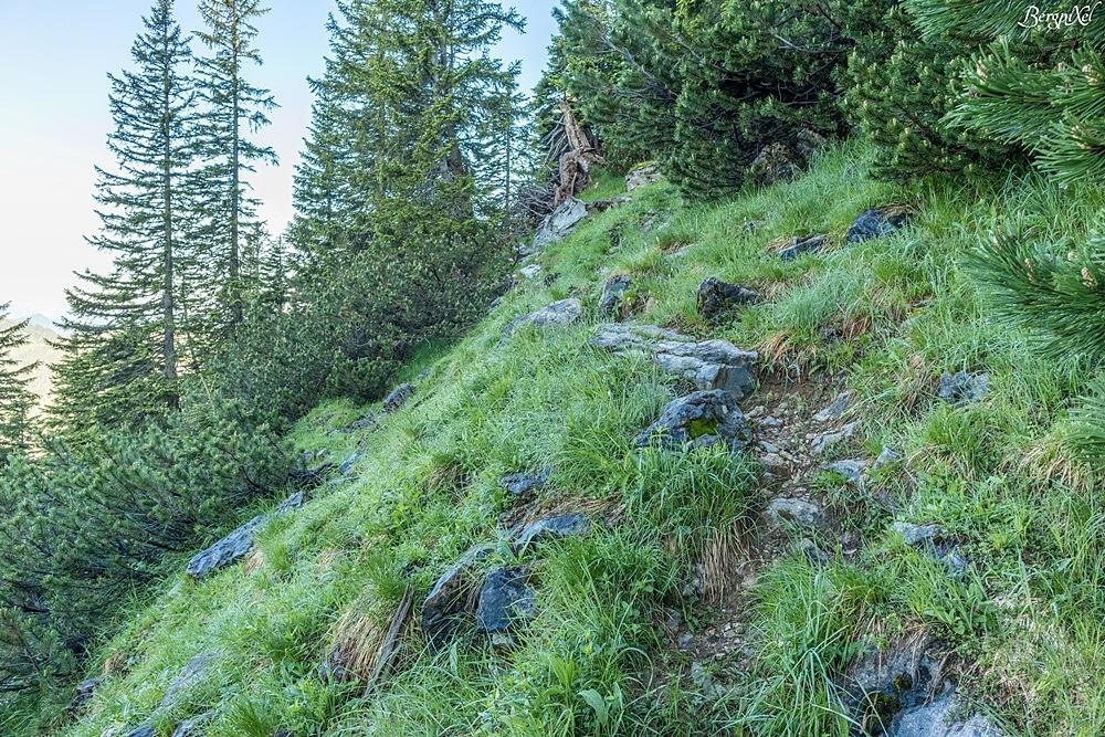 Un chemin étroit sur une pente de montagne