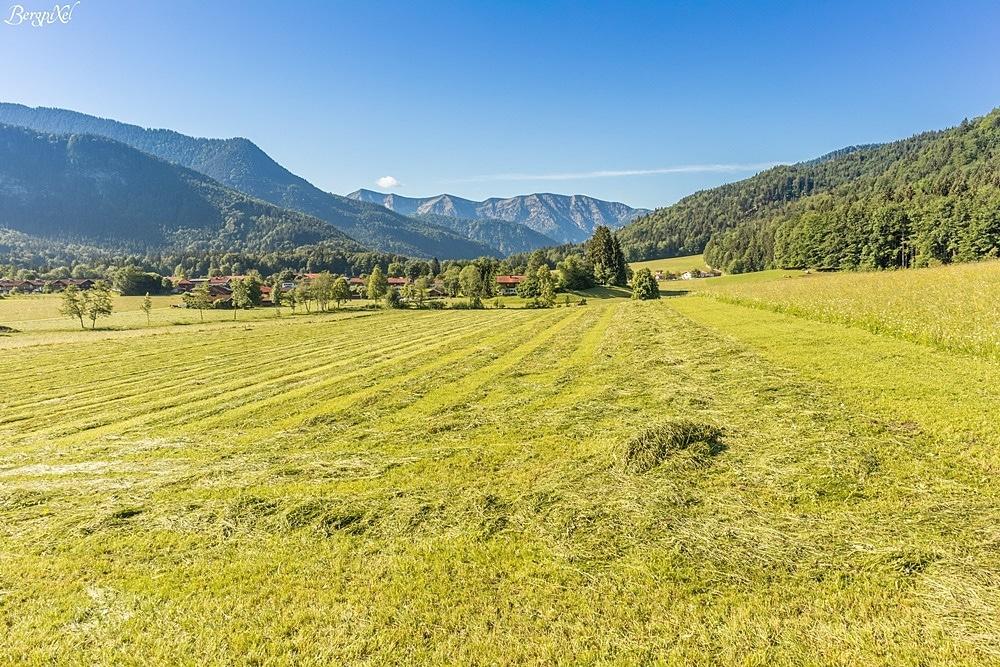 Une prairie d'alpage dans les Alpes bavaroises