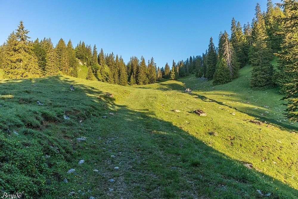 Un large chemin sur une prairie d'alpage