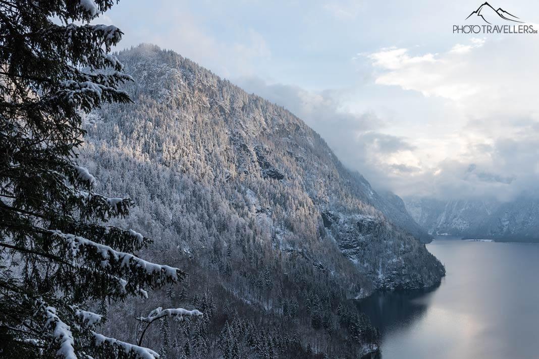 Vue depuis la Rabenwand sur le Königssee en hiver avec des arbres enneigés