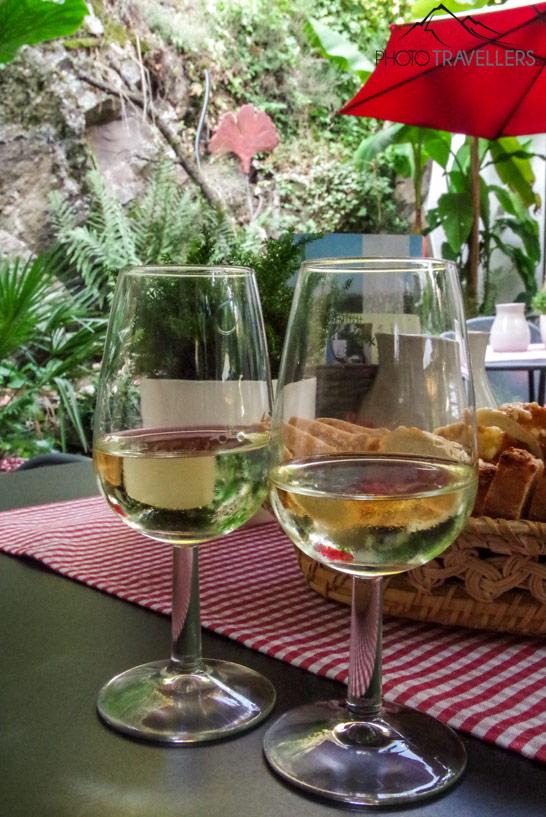 Degustação de vinhos na vinícola