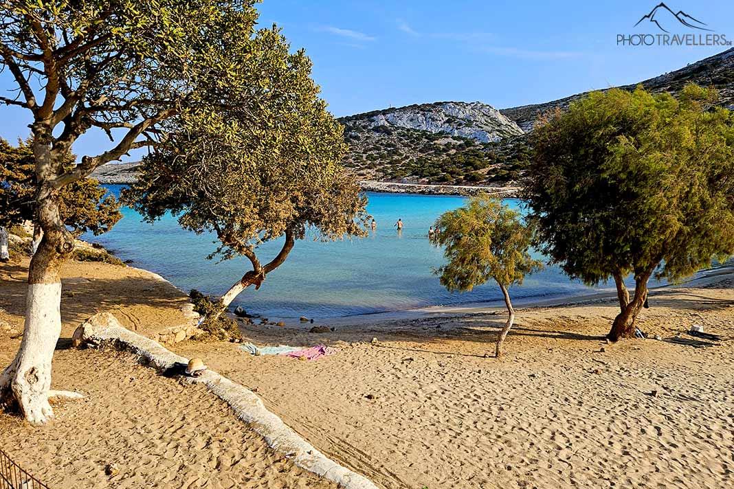 Les arbres sur la plage de Platis Gialos forment un beau contraste avec l'eau turquoise