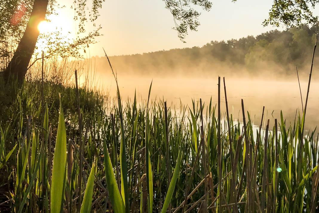 Nascer do sol sobre um lago com névoa