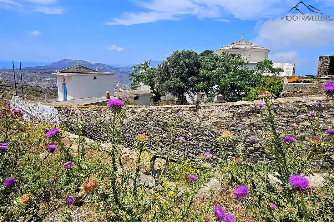 Devant le mur de l'ancien couvent de Panagia Katapoliani, de jolies fleurs fleurissent dans un champ