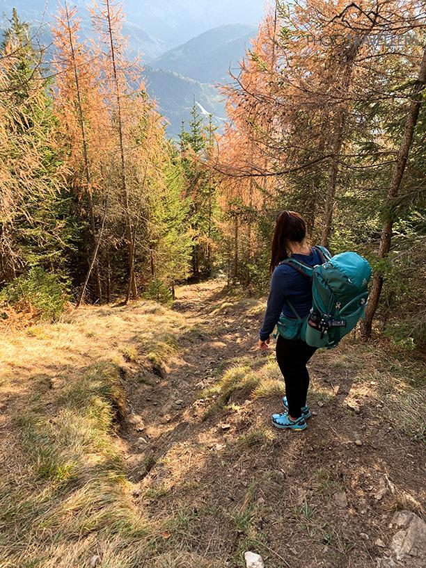 Le chemin de descente de l'Eckenberg