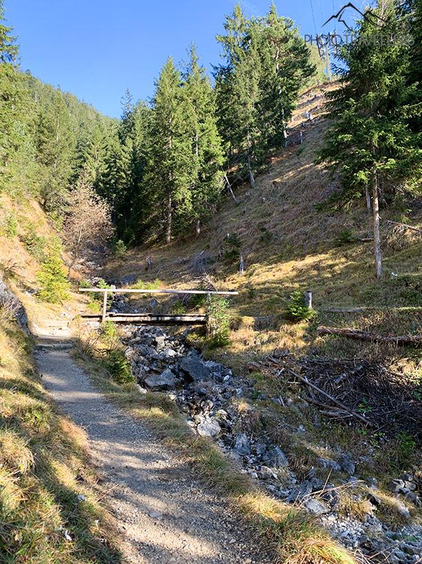 Un petit pont en bois