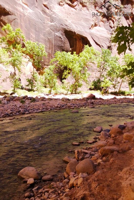 Sur le chemin à travers les Narrows dans le parc national de Zion