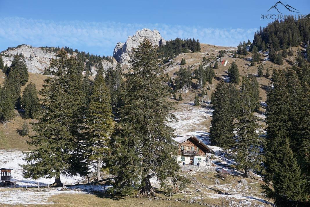 A Wendelsteinalm entre as árvores