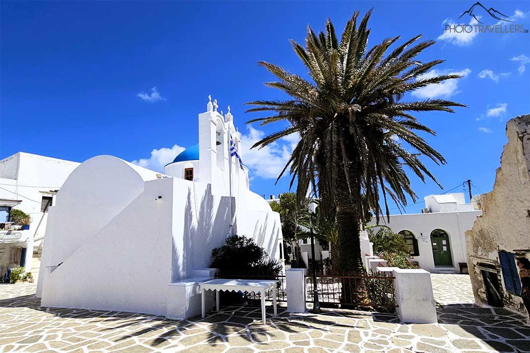 Una poderosa palmera se encuentra junto a la iglesia blanqueada Pantanassa