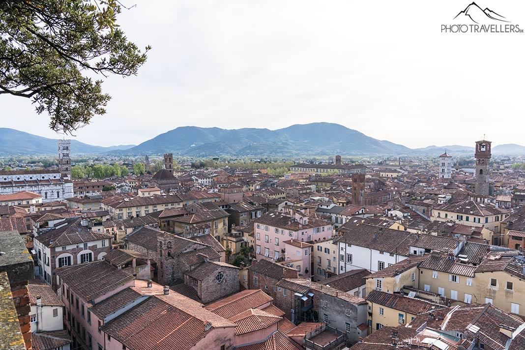 A vista sobre Lucca da Torre Guinigi