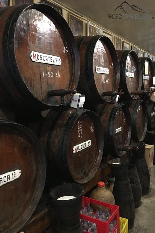Des fûts de vin dans le bar à vin Antigua Casa de Guardia à Malaga