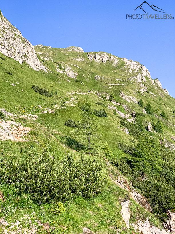 Le sentier des touristes