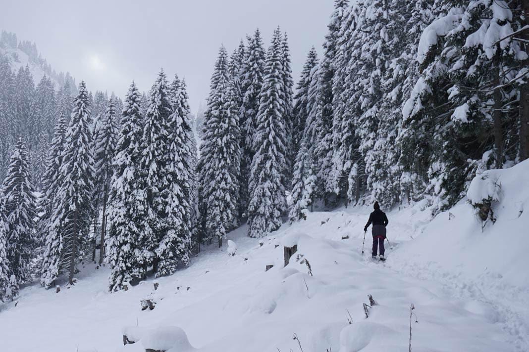 Caminata con raquetas de nieve