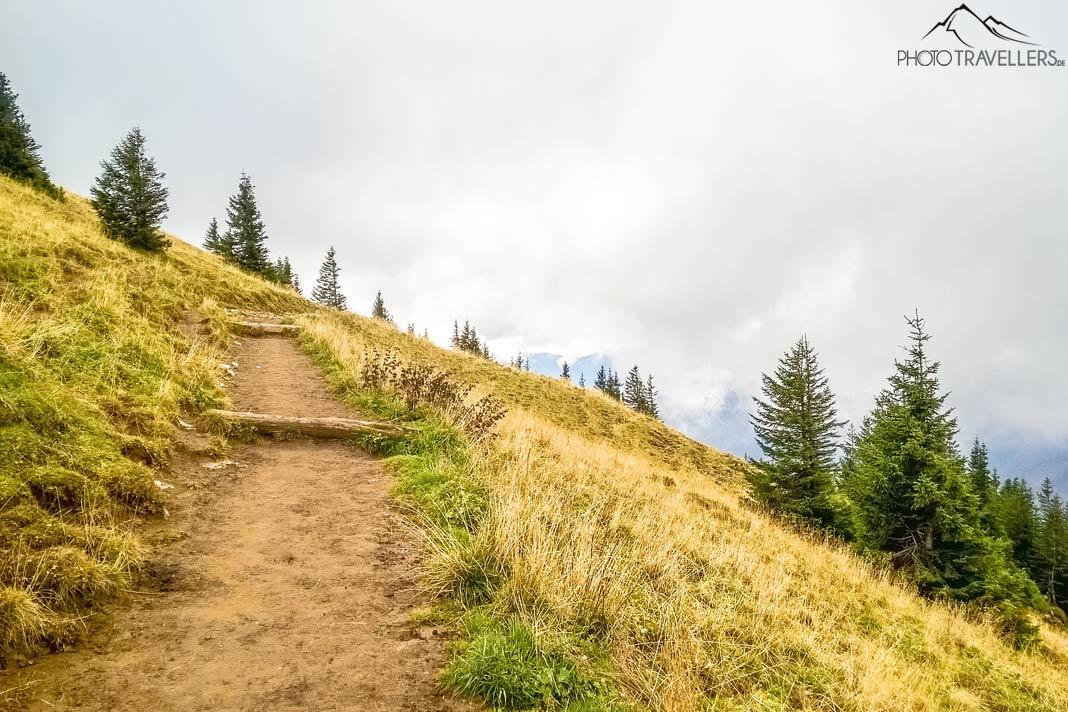 Le large sentier de randonnée en direction de la Rotwand
