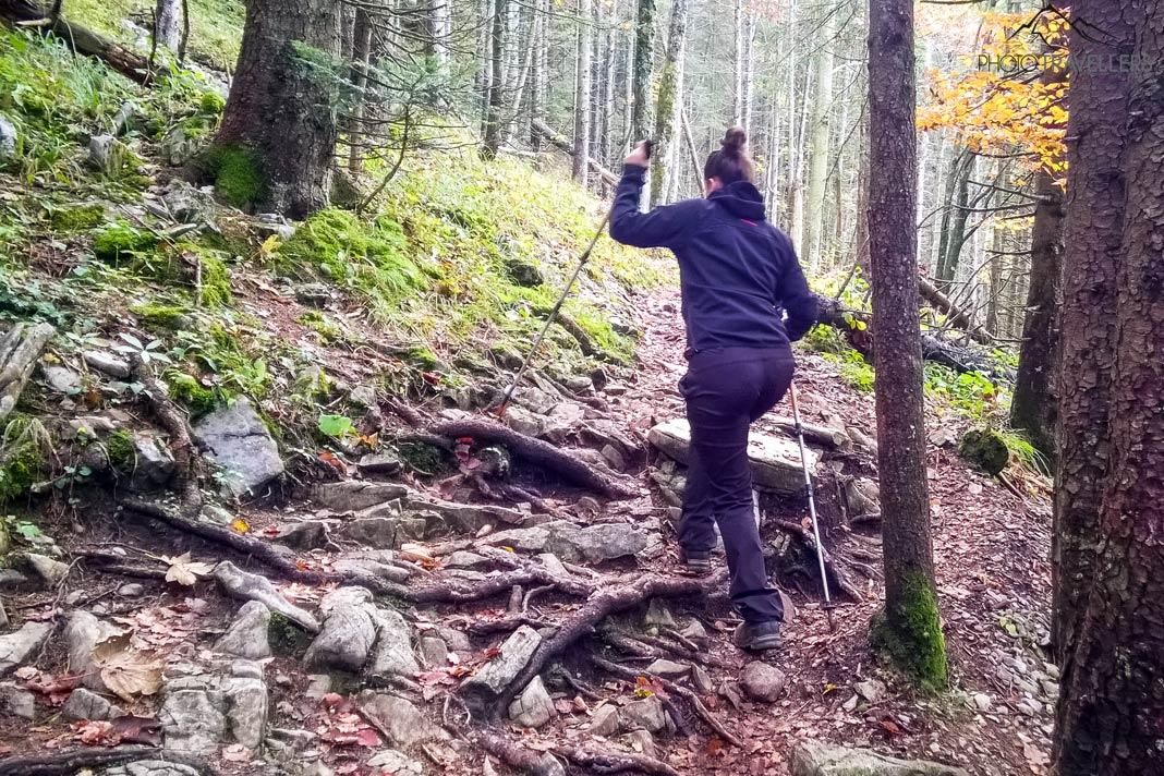Blogueuse voyage Biggi Bauer sur le sentier forestier menant au Taubenstein
