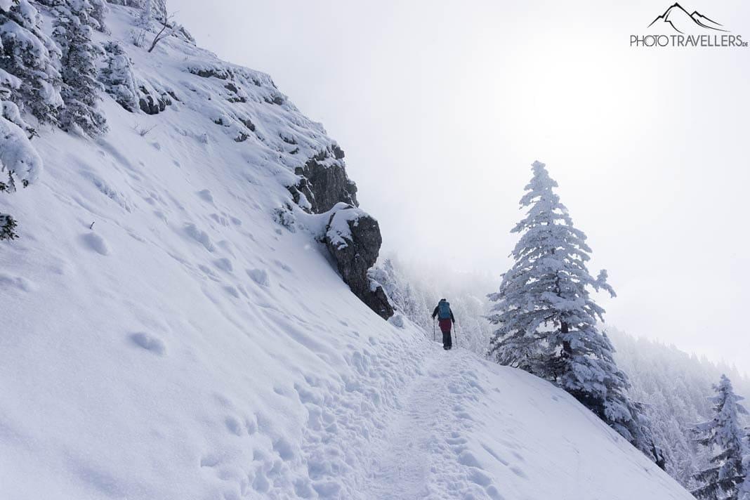 Sentier de randonnée dans la neige