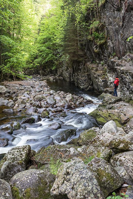 Le blogueur de voyage Florian Westermann dans la Steinklamm de la Forêt bavaroise