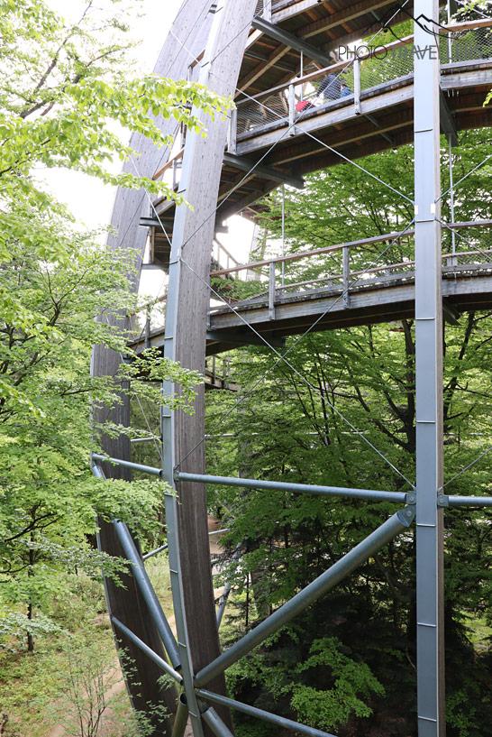 La tour d'observation du sentier des cimes dans la Forêt bavaroise