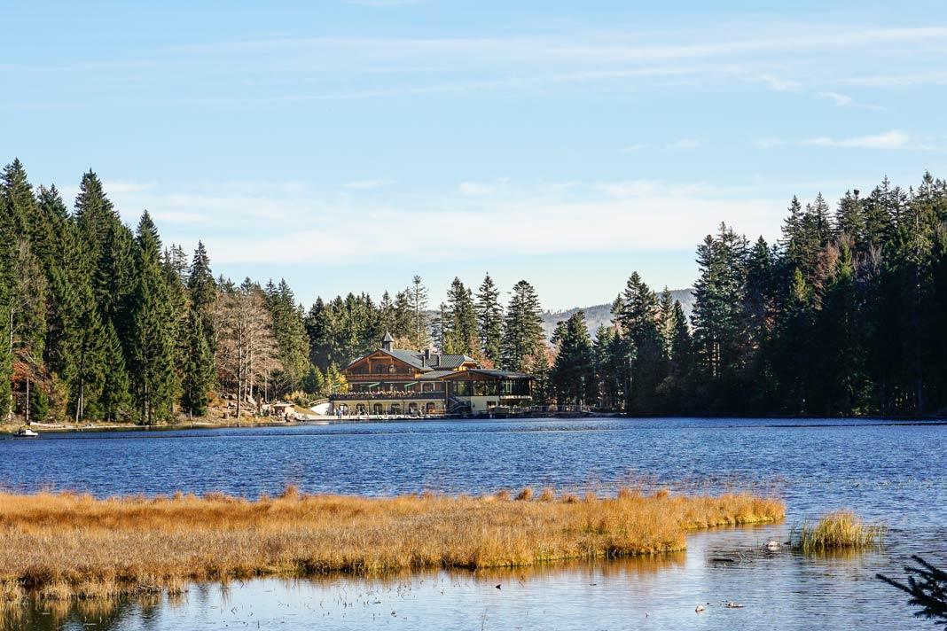La vue sur le Großer Arbersee dans la Forêt bavaroise