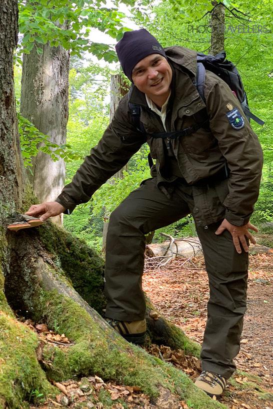 Le ranger du parc national Sigi explique la flore de la Forêt bavaroise