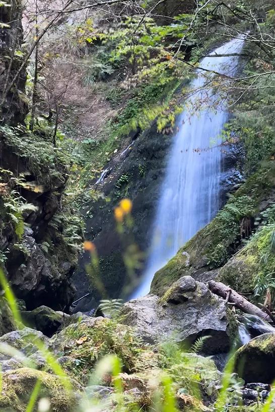 La grande cascade dans la ravine de Ravennaschlucht dans la Forêt-Noire