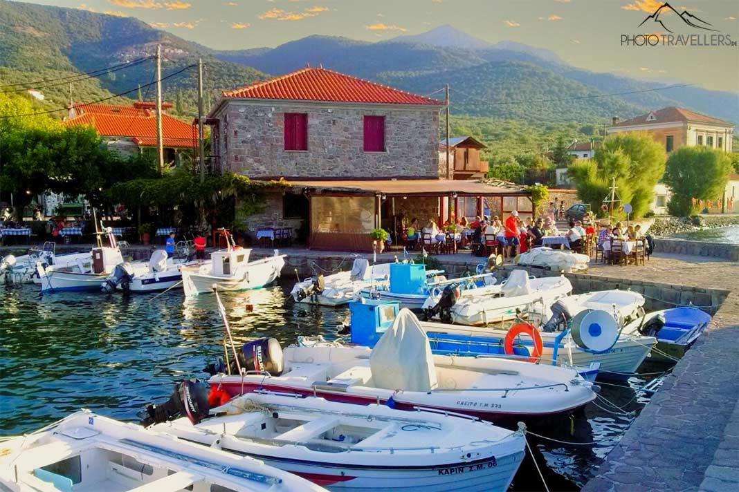De nombreux petits bateaux sont ancrés devant une taverne dans le port de Skala Sikaminias