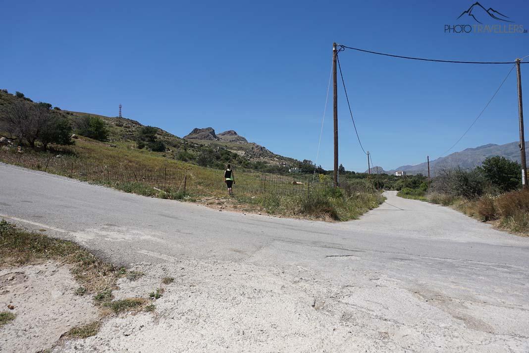 Un chemin de randonnée sablonneux traverse un oliveraie