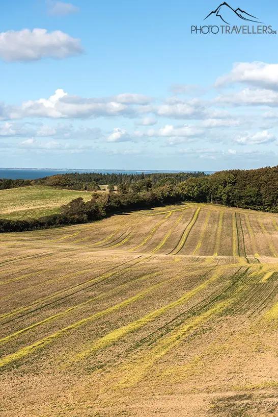 Ausblick Höhenrückenwanderweg