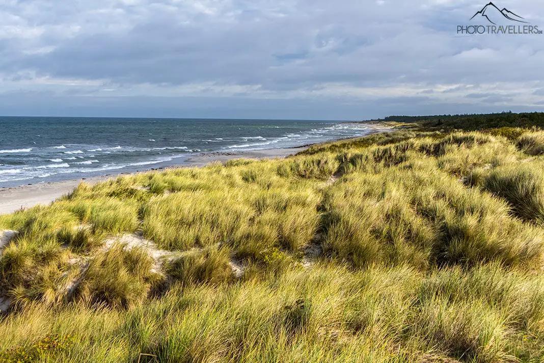 Dünen an der Ostsee