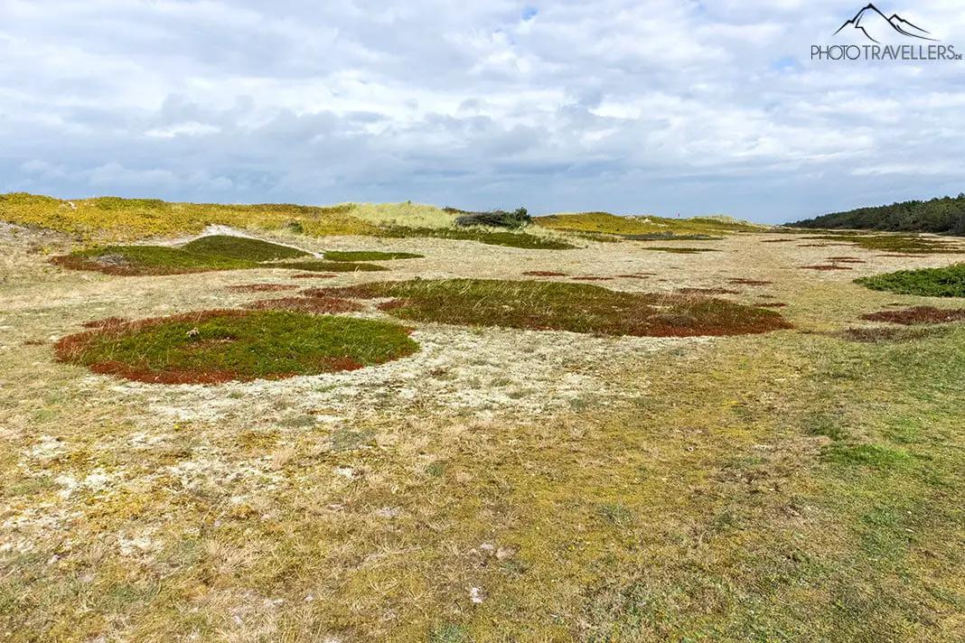 bunte Landschaft in Dänemark